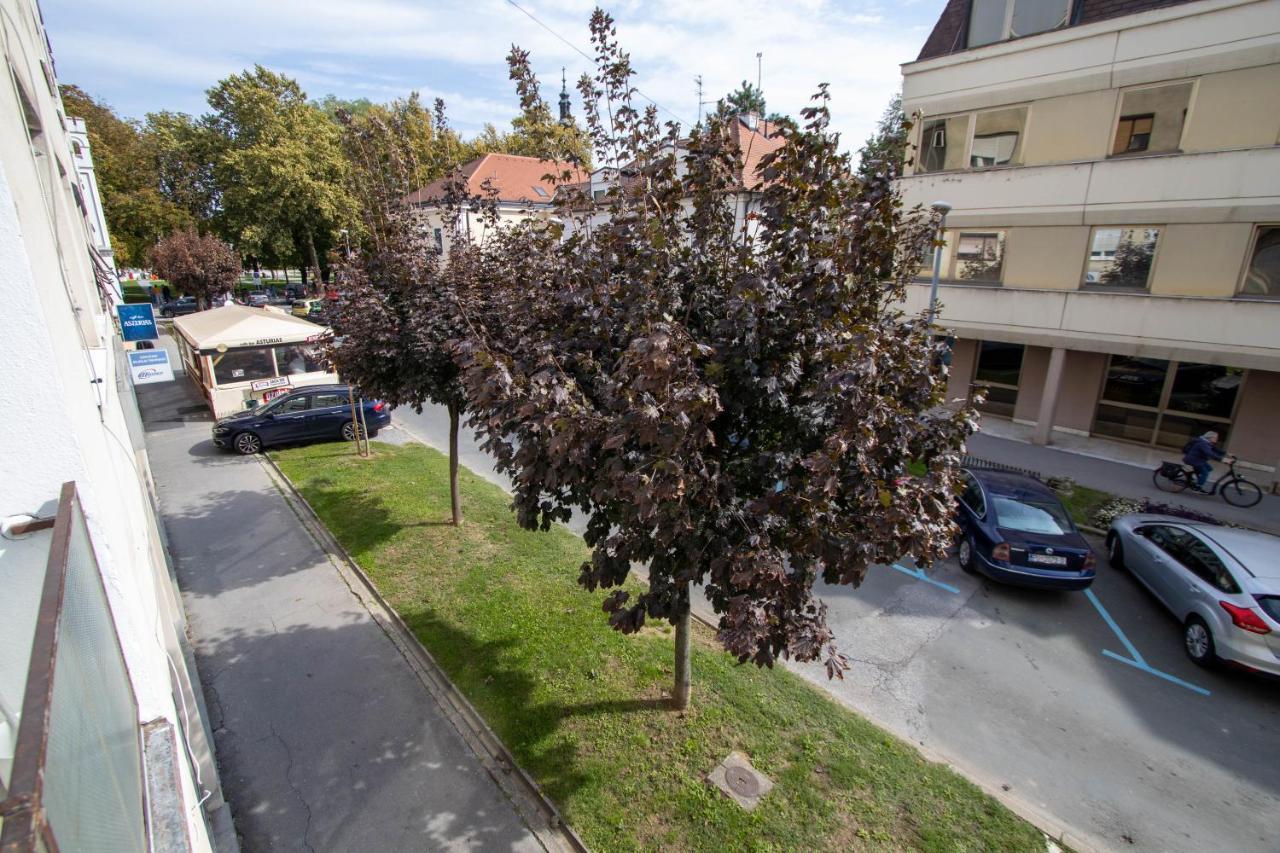 Apartment Ig4U, City Center Bjelovar Eksteriør billede